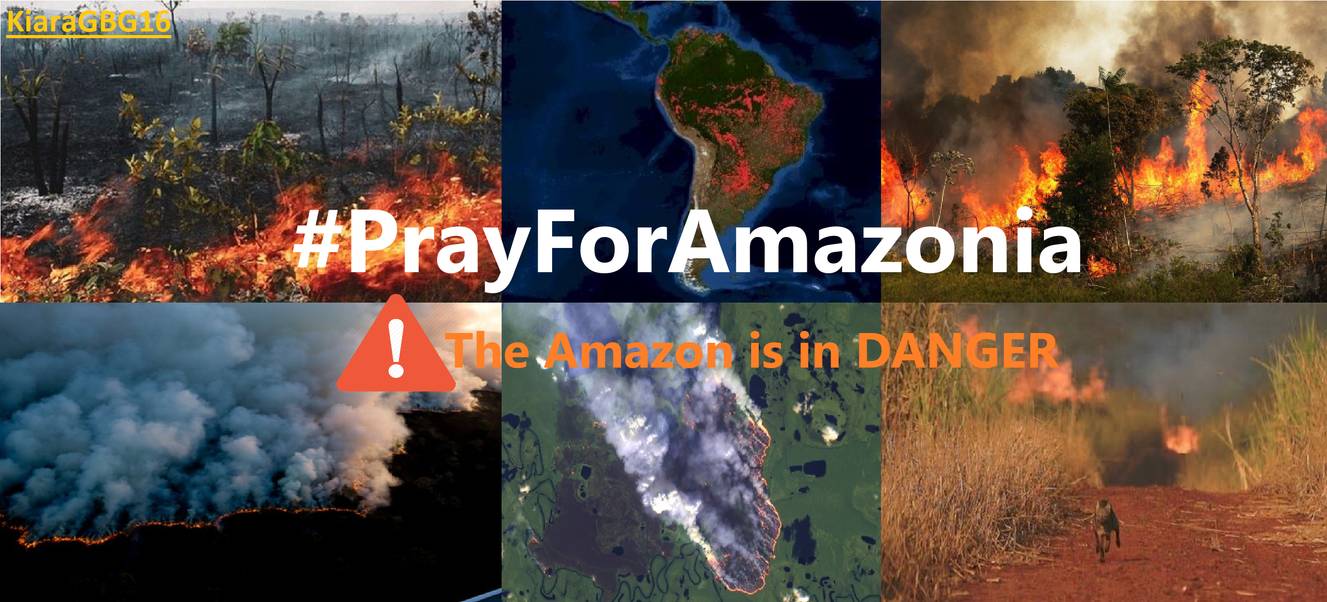  #PrayforAmazonia | Γιατί μας αφορά όλους;