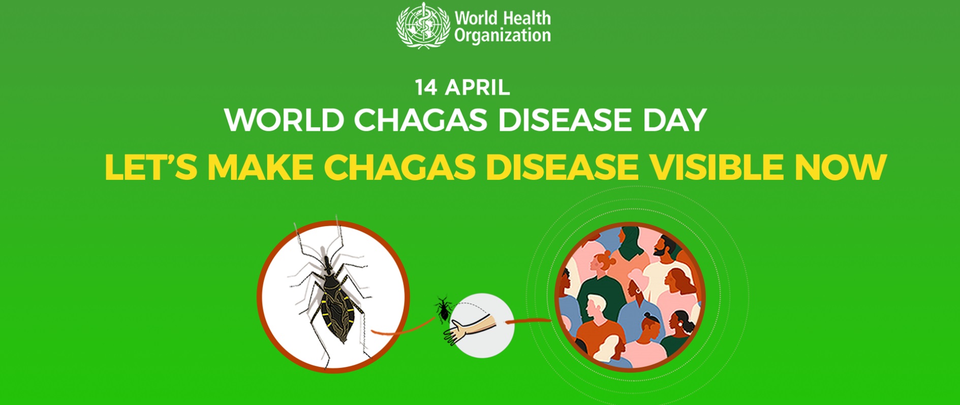  Ηνωμένα Έθνη | 14 Απριλίου | Μία παραμελημένη ασθένεια: Παγκόσμια Ημέρα Καταπολέμησης της Νόσου Chagas