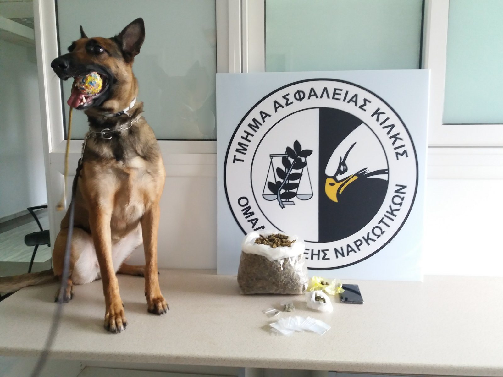  Κιλκίς | Η Μίνι, ο αστυνομικός σκύλος, βρήκε τα ναρκωτικά