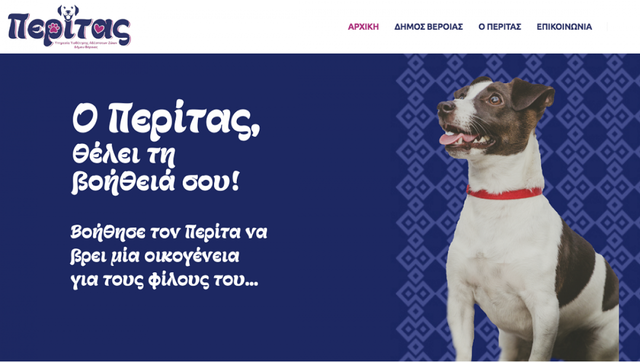  Peritas.gr | Η Βέροια ξεκίνησε online πρόγραμμα υιοθεσίας αδέσποτων σκύλων