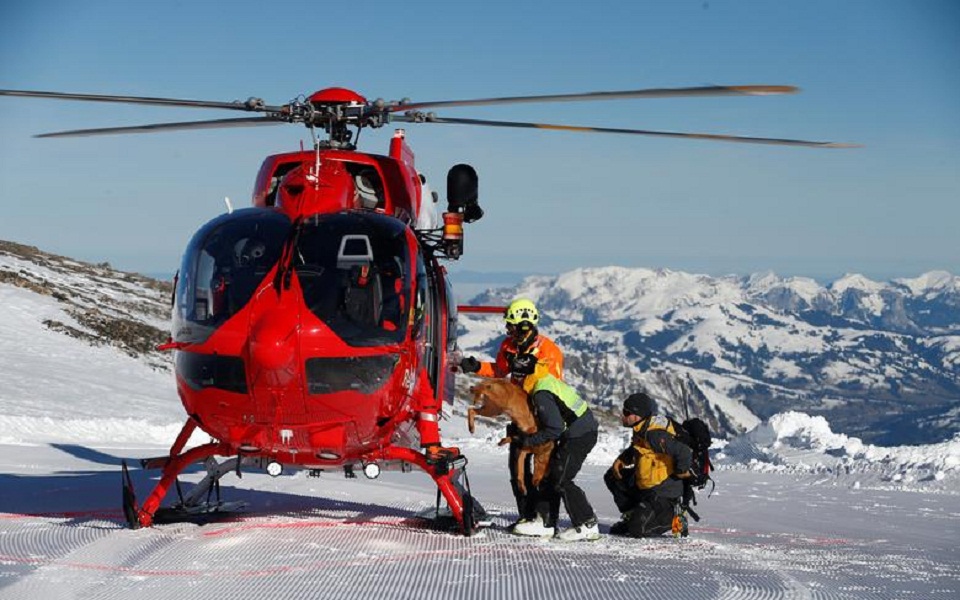  Ένα γάβγισμα για βοήθεια, έσωσε στην Ελβετία αγνοούμενους χιονοστιβάδας
