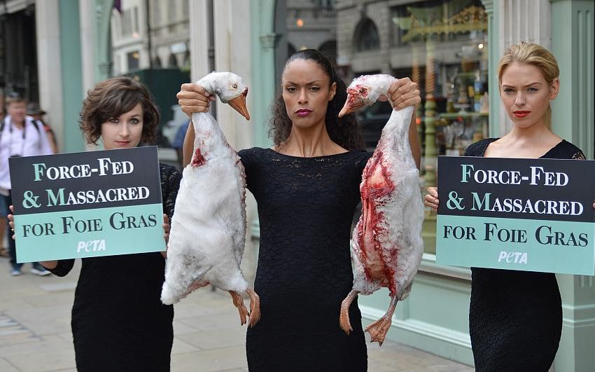  #OUTLANDERS | “Sadistic and Inhuman” sale of foie gras must be banned in the EU