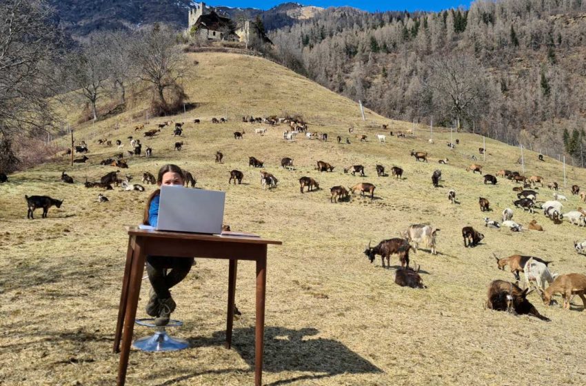  #Story2Tell | Η τηλεκπαίδευση της Ιταλίδας βοσκοπούλας Fiammetta στα βουνά