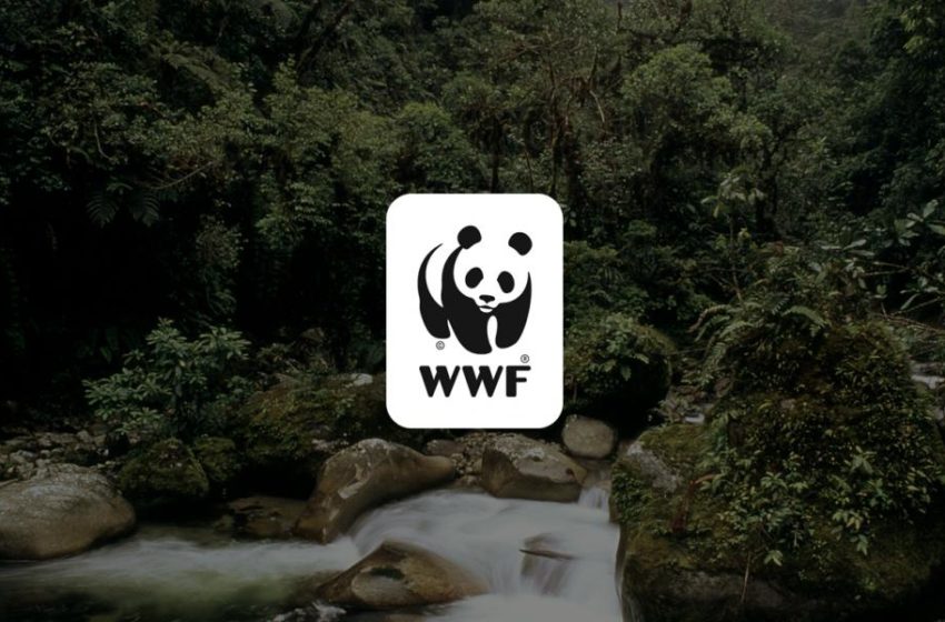  #NoPlanetB | Η WWF εκφράζει παγκόσμια ανησυχία για την απώλεια της φύσης