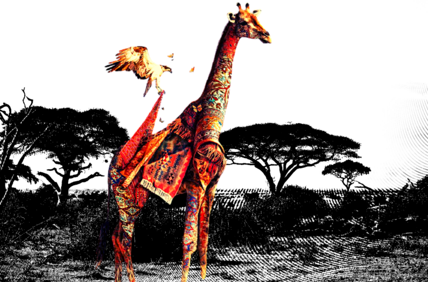  #Pixur | Φωτογράφοι άγριας ζωής συγκεντρώνουν χρήματα για πάρκα της Αφρικής