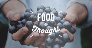 Food_for_thought_visual_identity-800x400