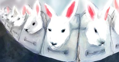 animalresearchfeature1
